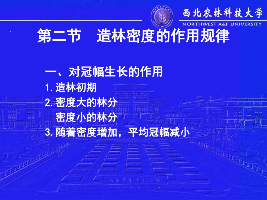 造林密度和种植点的配置_第4页