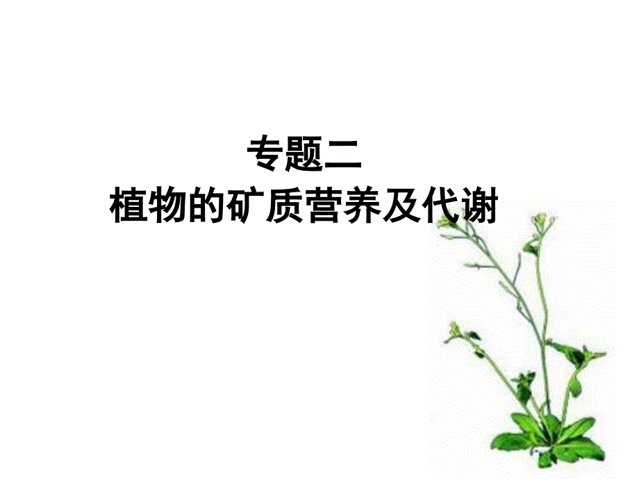 高级植物生理学—专题二课件_第1页