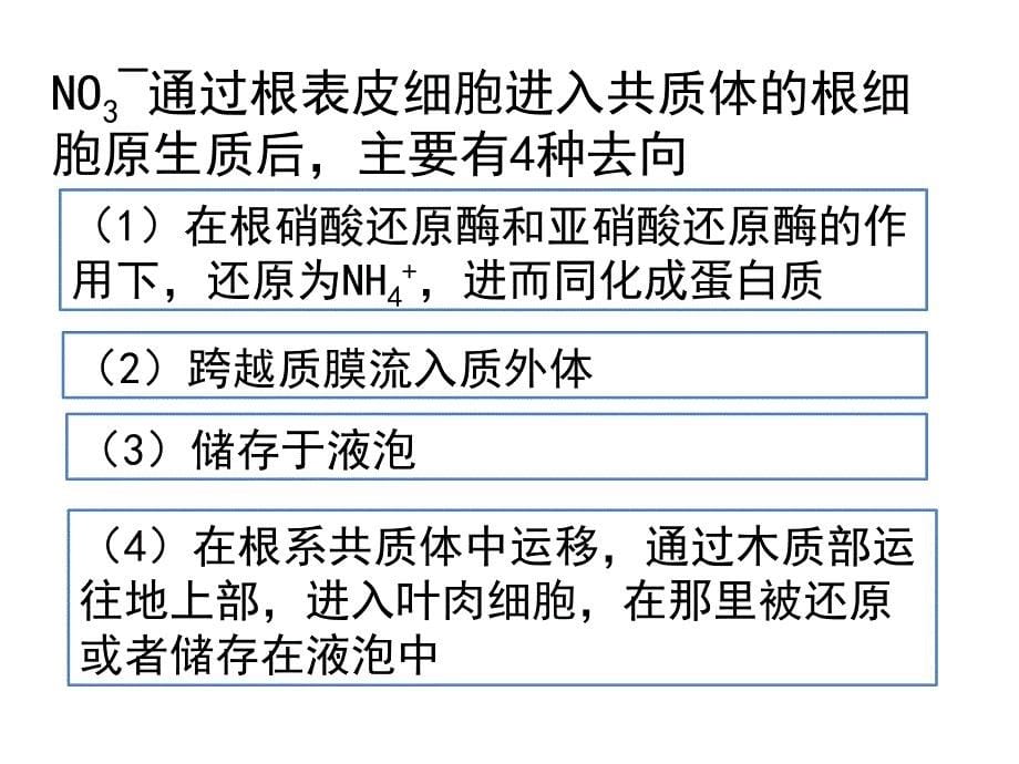 高级植物生理学—专题二课件_第5页