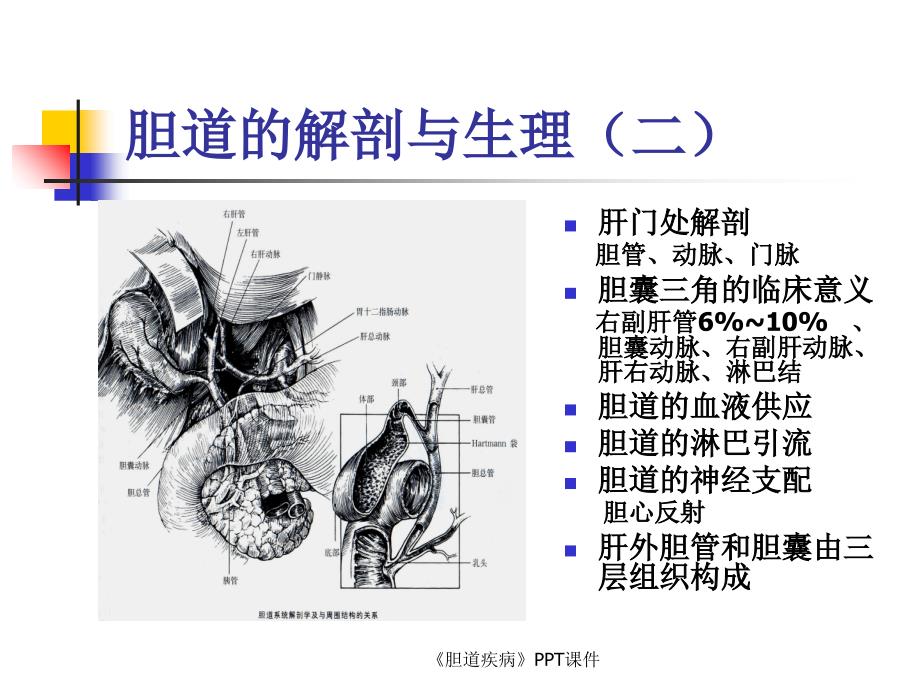 《胆道疾病》PPT课件课件_第4页