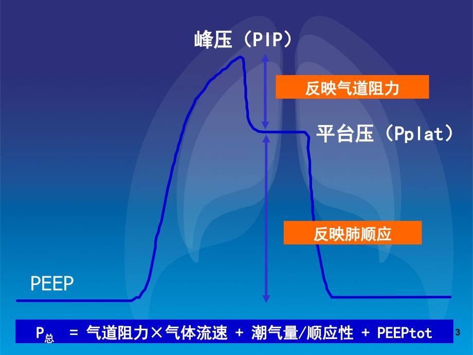 肺顺应性与临床课堂PPT_第3页