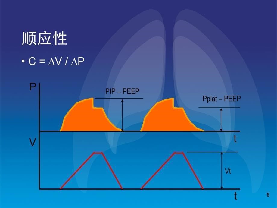 肺顺应性与临床课堂PPT_第5页