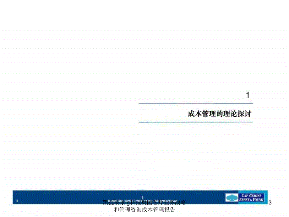 凯捷安永lg科技集团芯片业务战略和管理咨询成本管理报告课件_第3页