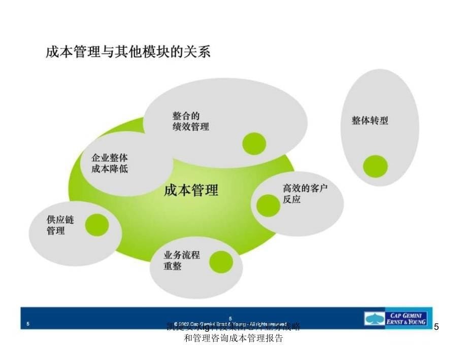 凯捷安永lg科技集团芯片业务战略和管理咨询成本管理报告课件_第5页