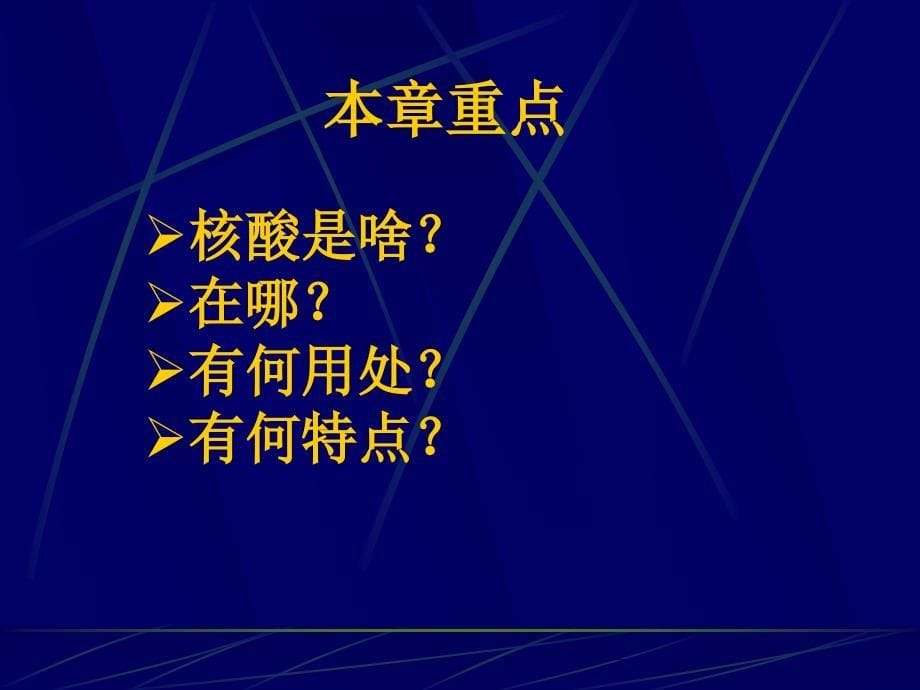 生物化学课件：第一篇核酸化学_第5页