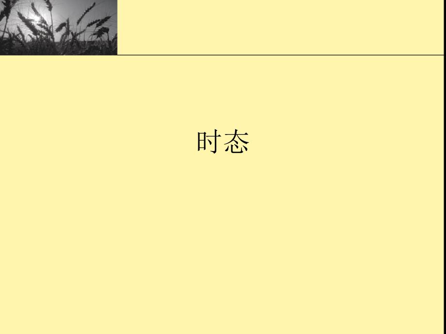 英语专业四级词汇语法辅导时态代词情态动词形容词副词句子成分1_第1页