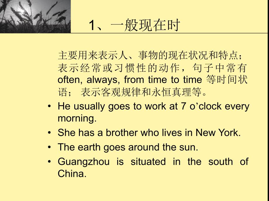 英语专业四级词汇语法辅导时态代词情态动词形容词副词句子成分1_第2页