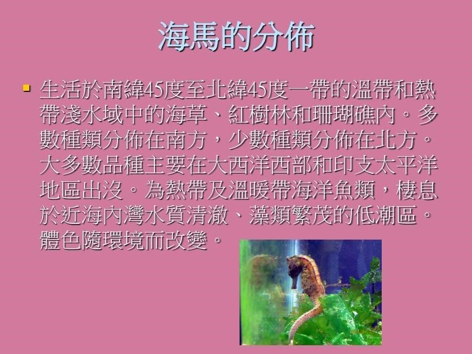 南方人参海马PPT课件_第5页