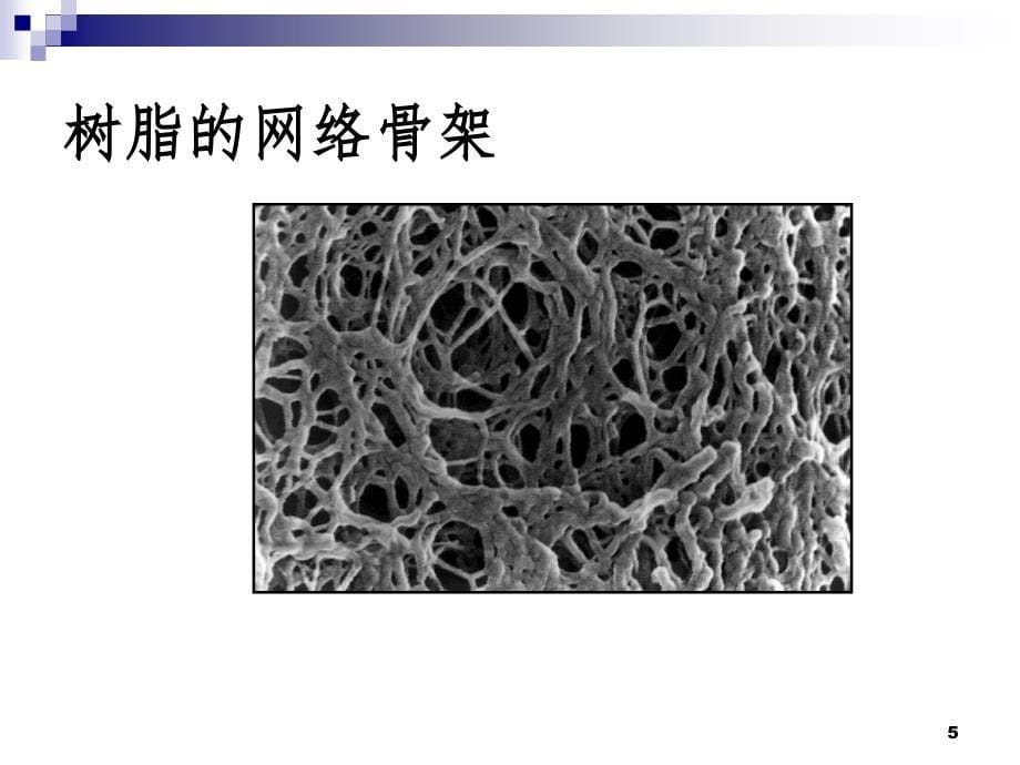 离子交换PPT课件_第5页