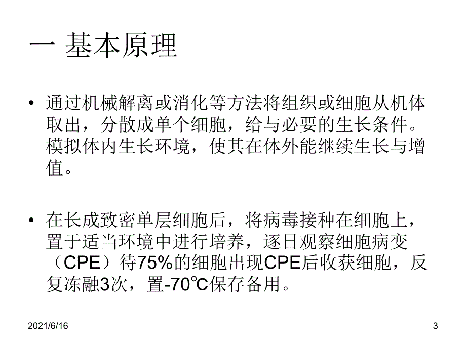 病毒的细胞培养_第3页