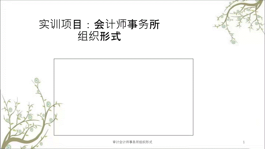 审计会计师事务所组织形式课件_第1页