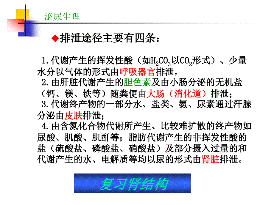 泌尿生理 ppt课件_第4页