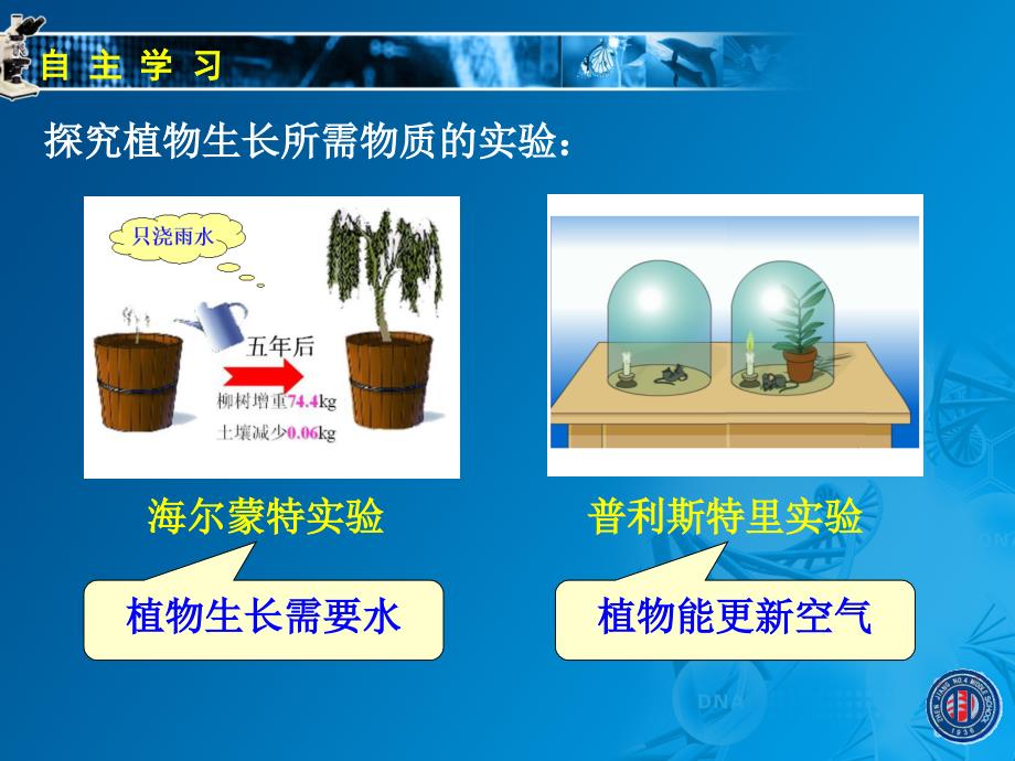 341植物的光合作用（一）_第3页