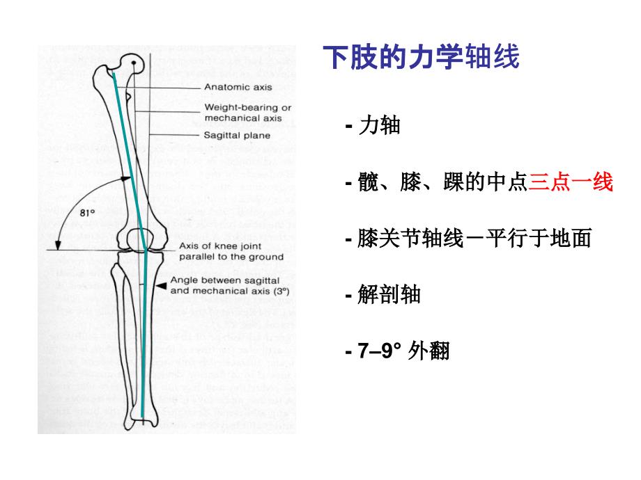 ao膝关节骨折ppt课件_第3页