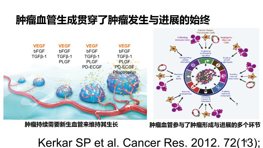 NSCLC的抗血管生成治疗亘古弥新_第4页