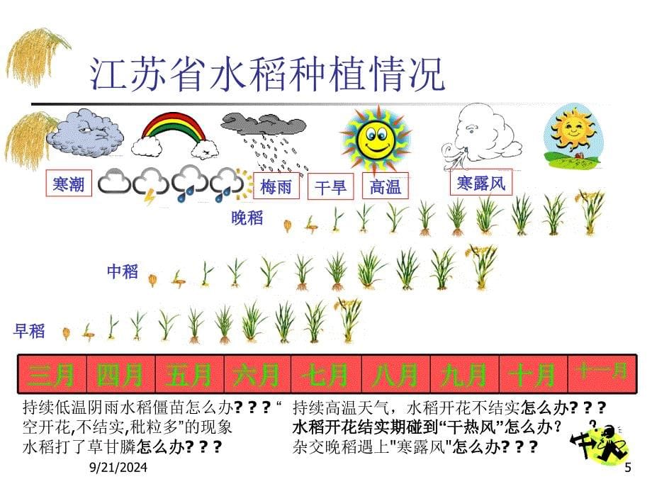 水草害防治技术ppt_第5页