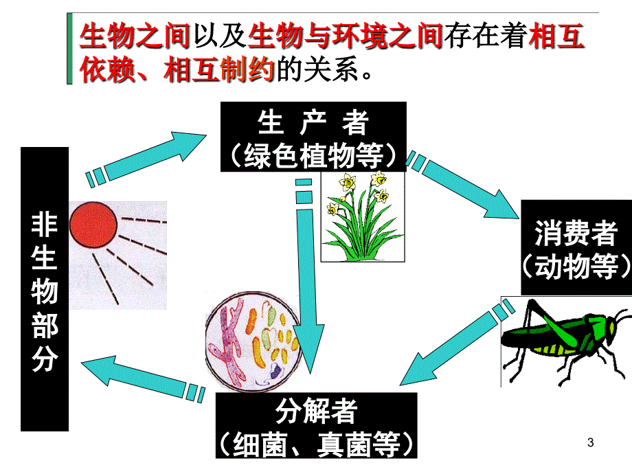 第三章动物中生物圈中的作用_第3页