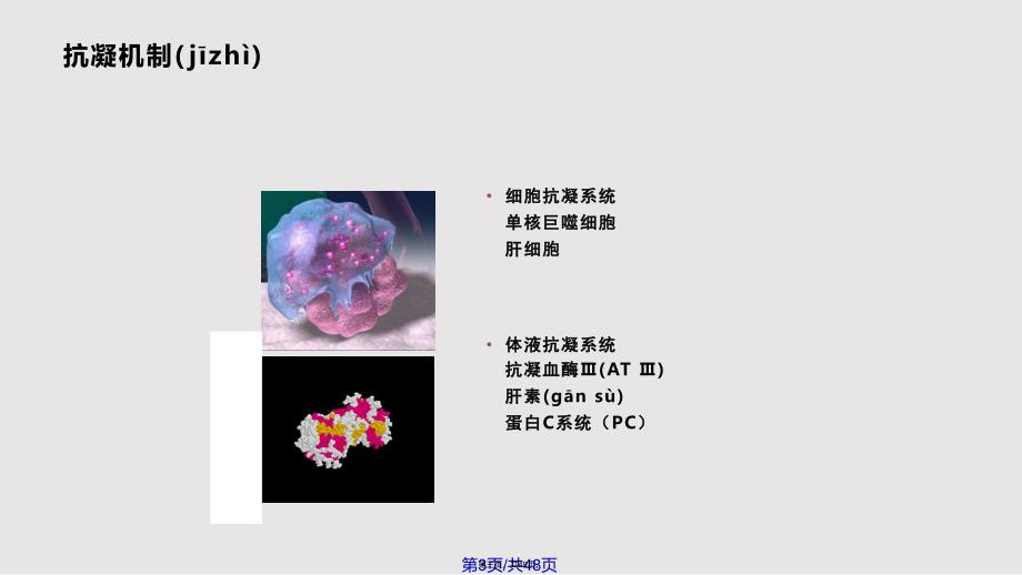 Dic弥漫性血管内凝血实用教案_第3页