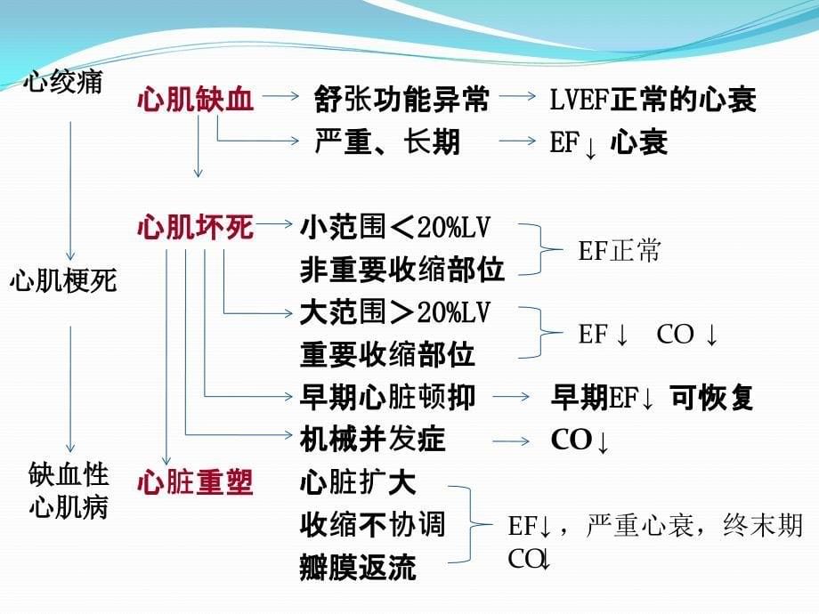 缺血性心力衰竭的治疗策略_第5页