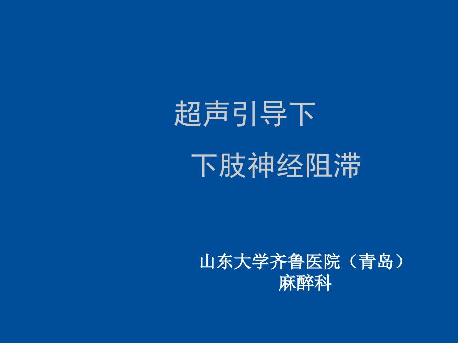 超声引导下的神经阻滞下肢篇PPT_第1页