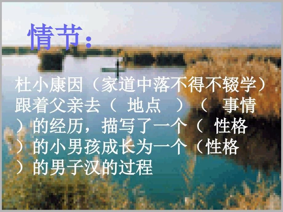 孤独之旅教学课件_第5页