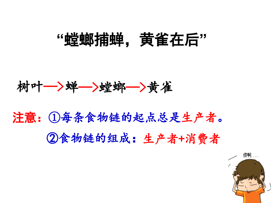 生态系统的结构第二课时.ppt_第1页