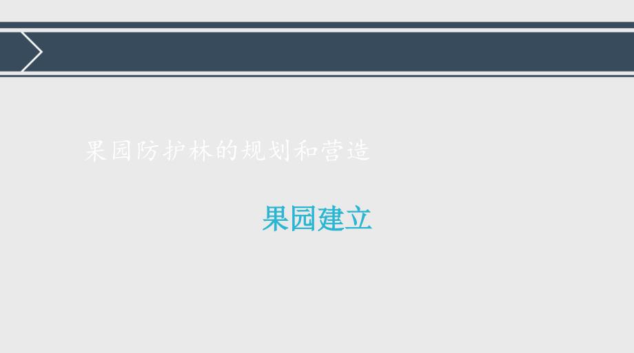 果园防护林的规划和营造_第1页