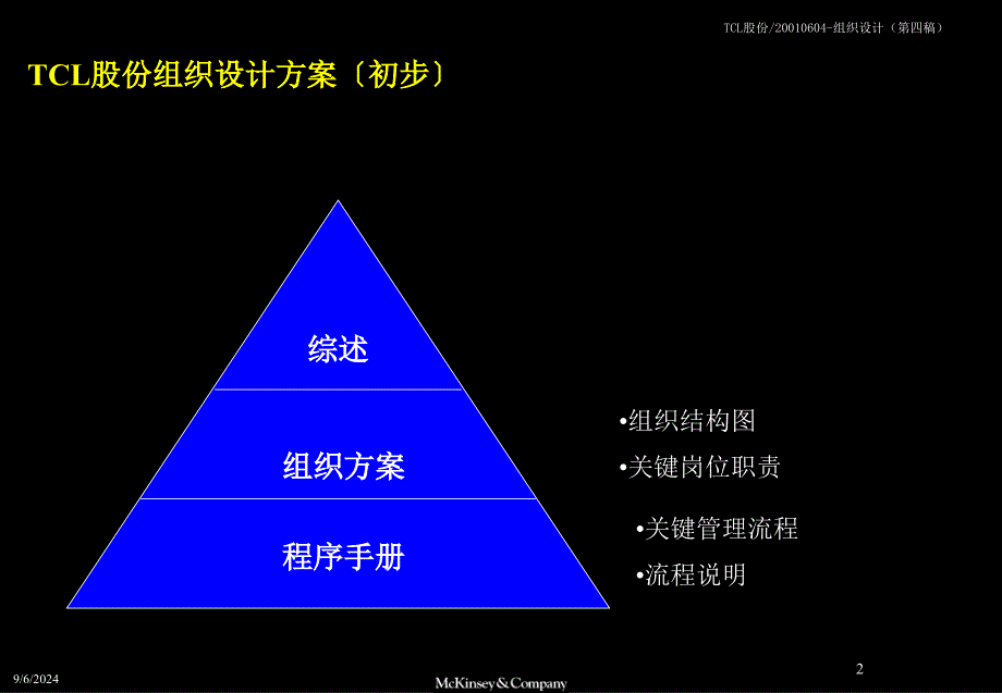 麦肯锡TCL股份组织结构设计方案_第2页