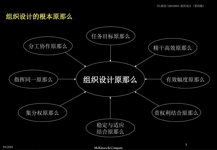 麦肯锡TCL股份组织结构设计方案_第5页