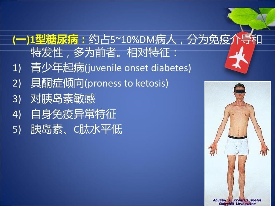 糖尿病护理（PPT）_第5页