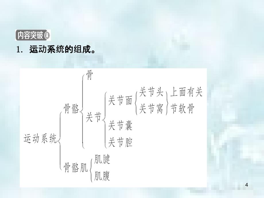 山东省淄博市中考生物第七单元第二章复习优质课件_第4页