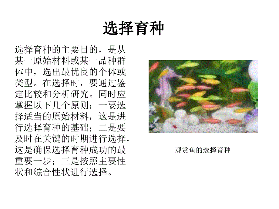 高一生物优良品种的培育和繁殖1.ppt_第3页