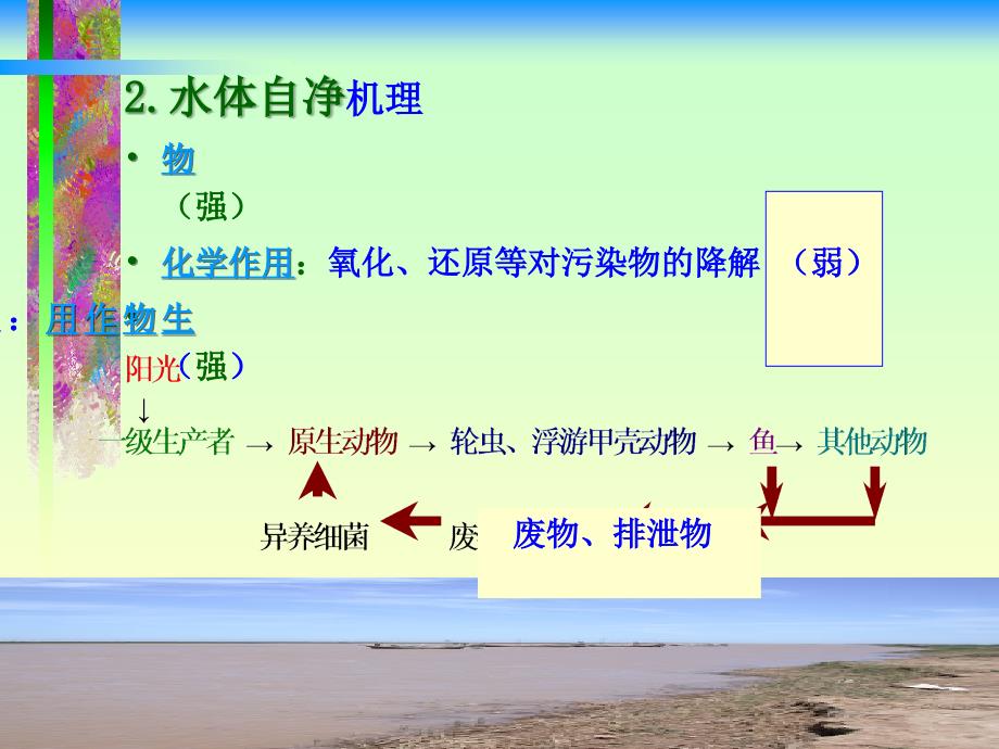 第十三章水体自净selfpurification_第3页