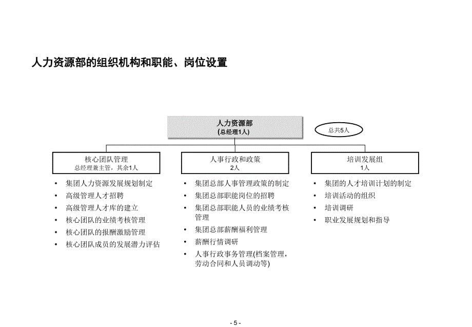 某某公司人力资源管理体系_第5页