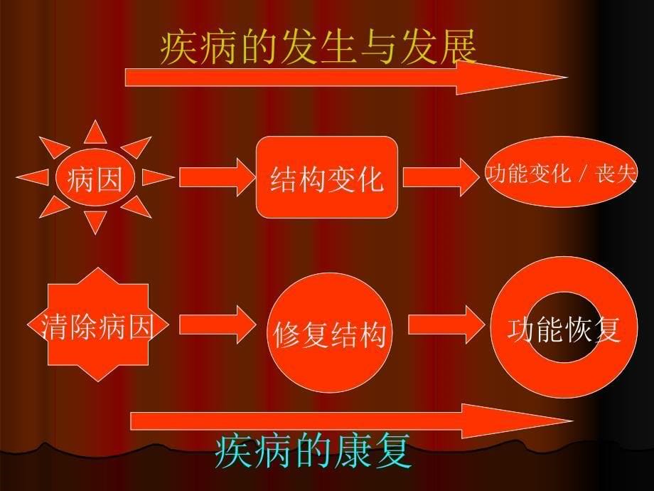 营养素、药物、疾病之间的关系3_第5页