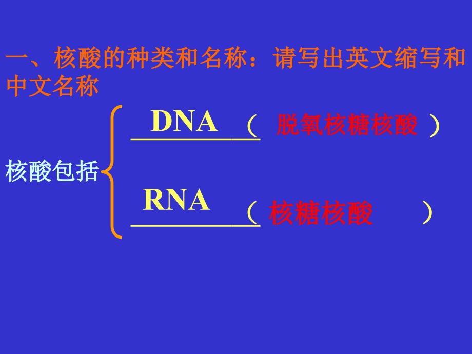 遗传信息的携带者核酸_第4页