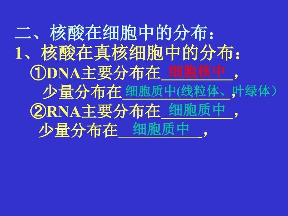 遗传信息的携带者核酸_第5页