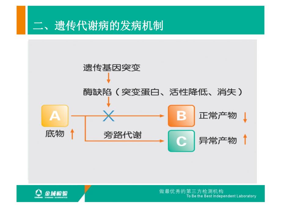 串联质谱遗传代谢病检测项目介绍可科内会用_第4页