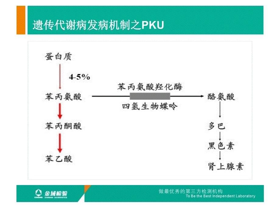 串联质谱遗传代谢病检测项目介绍可科内会用_第5页