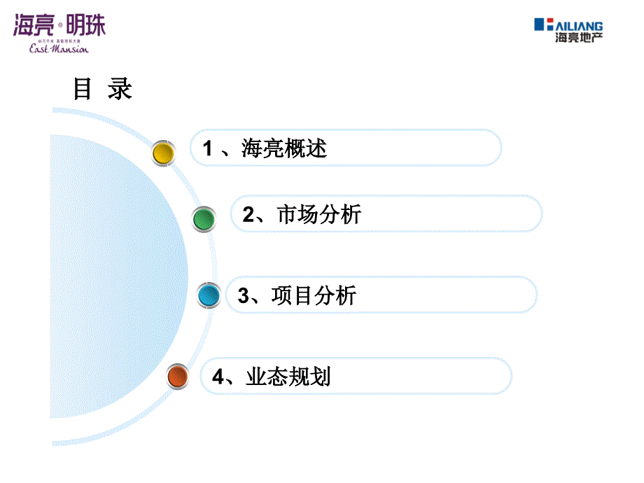 2014安徽蚌埠海亮明珠商业招商手册_第4页