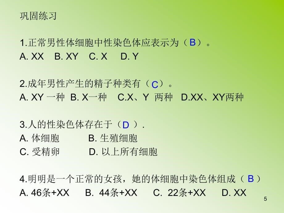 人的性别遗传课件_第5页