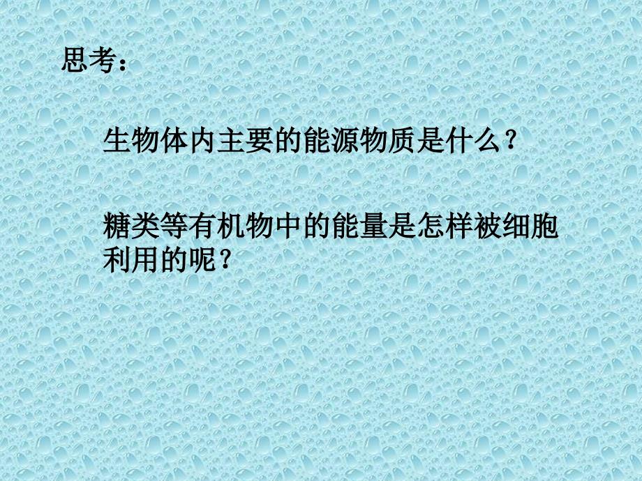 53探究酵母菌细胞呼吸的方式_第1页