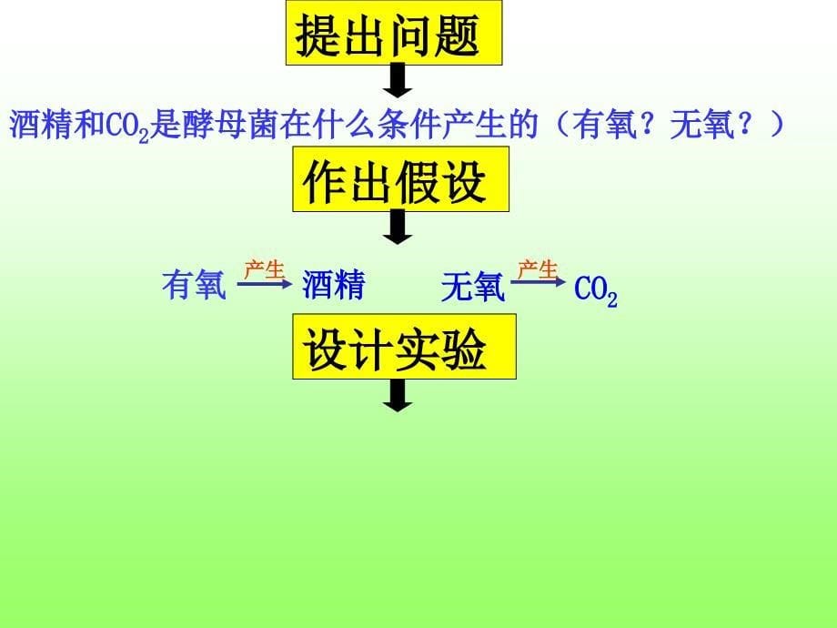 53探究酵母菌细胞呼吸的方式_第5页