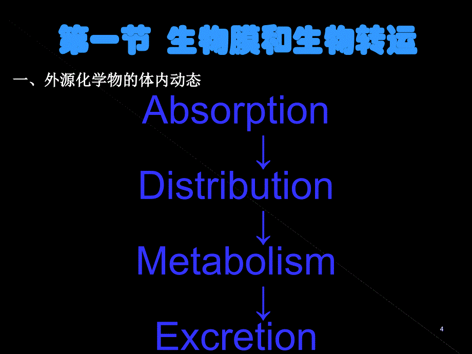 外源化学物的生物转化_第4页