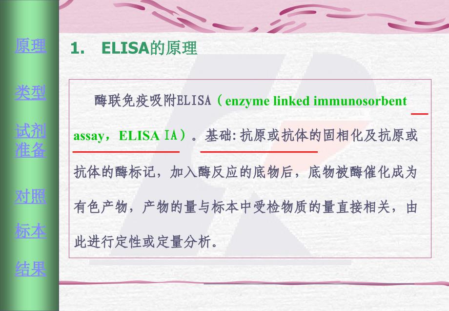 蛋白检测ELISA#上课课堂_第3页