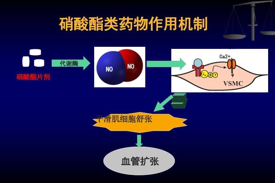 硝酸酯类药物的规范化应用_第5页