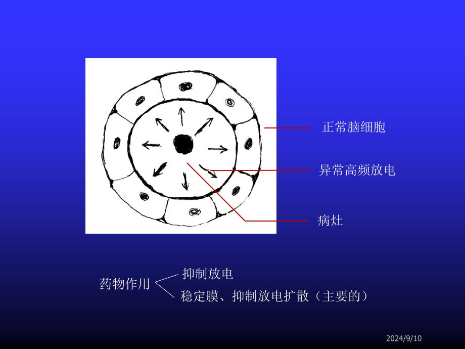 抗癫痫药和抗惊厥药病理基础_第4页