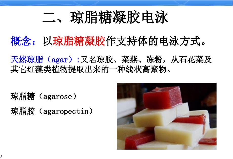 实验13-琼脂糖凝胶电泳的原理和方法ppt课件_第4页