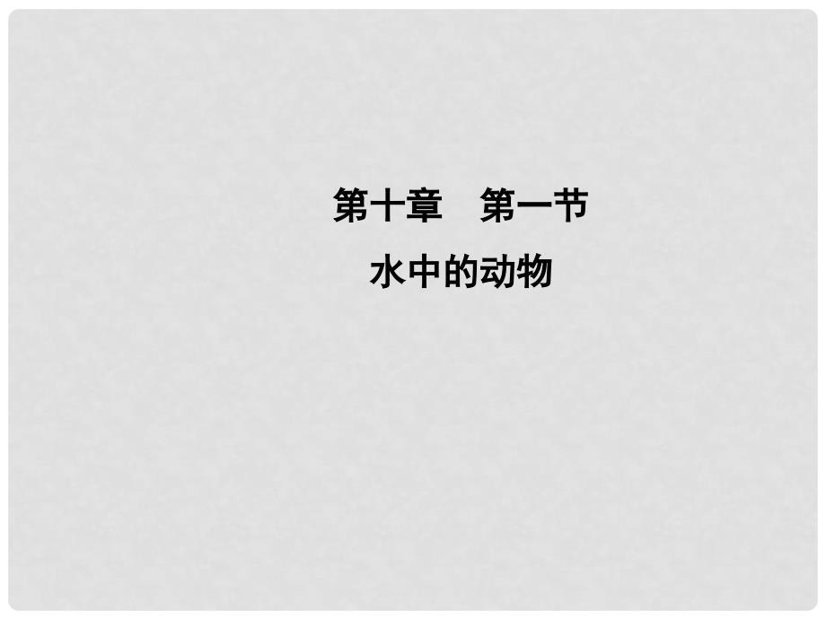 江苏省太仓市第二中学七年级生物下册 10.1 水中的动物课件2 苏科版_第1页