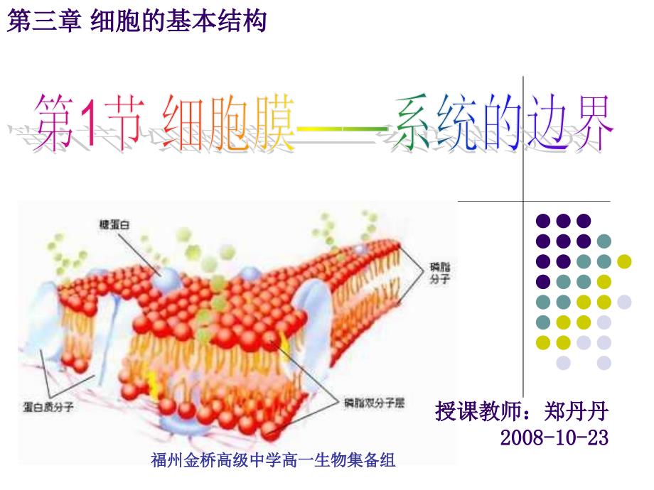 3.1细胞膜—系统的边界课件王云灵_第1页